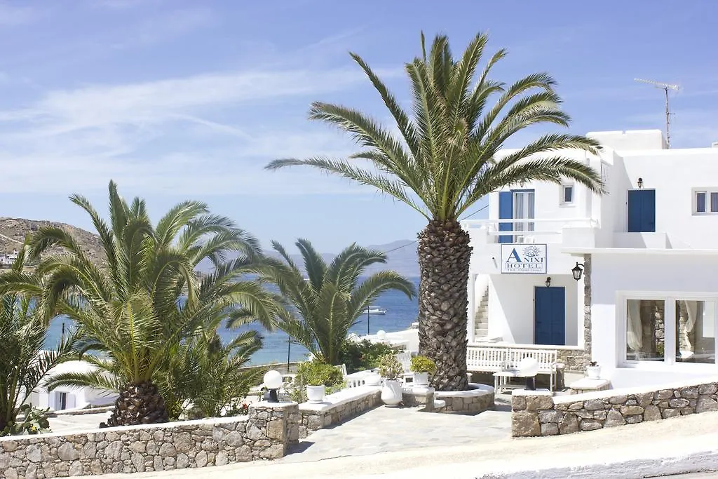 Anixi Hotel Ornos  Grécia